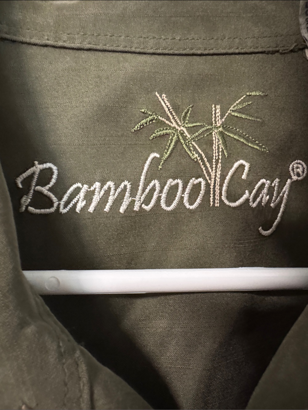 Bamboo Cay Men’s Olive and Cream Short-Sleeve Button Shirt - Picture 2 of 5